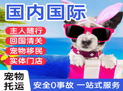 锦州锦州湾空运地址国际宠物托运 【国